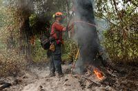 A firefighter with the British Columbia Wildfire Service Titan unit crew marks a dangerous tree on the southeastern flank of the Bush Creek wildfire in Turtle Valley, after it destroyed homes and other structures in multiple communities in the North Shuswap region of British Columbia, Canada. August 23, 2023 REUTERS/ Jesse Winter