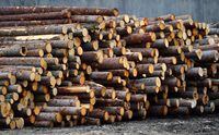 Softwood lumber is stacked in Madawaska, Ont. on Tuesday, April 25, 2017.&nbsp; THE CANADIAN PRESS/Sean Kilpatrick