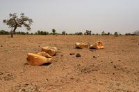 Abandoned water canisters lie on the arid ground near the village of Tata Bathily in Matam, Senegal March 30, 2022. Picture taken March 30, 2022. REUTERS/Ngouda Dione NO RESALES. NO ARCHIVES