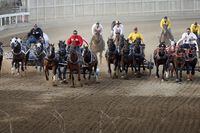 A chuckwagon race is seen during Calgary Stampede in Calgary in this file image from July 13, 2012. A horse has died after it was injured in a chuckwagon race at the Calgary Stampede. THE CANADIAN PRESS/Jeff McIntosh