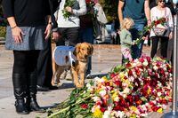Lt. Cleo, the service dog with U.S. Navy Petty Officer 2nd Class Andrew Armstrong walks as they place a flower during a centennial commemoration event at the Tomb of the Unknown Soldier, in Arlington, Virginia, U.S., November 10, 2021. Alex Brandon/Pool via REUTERS
