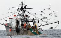 FILE- Gulls follow a commercial fishing boat as crewmen haul in their catch in the Gulf of Maine, in this Jan. 17, 2012 file photo. The country’s highest court will take up the subject of who pays for workers who gather data aboard commercial fishing boats. The Supreme Court of the United States announced on Monday, May 1, 2023 that it will take the case, which stems from a lawsuit by a group of fishermen who want to stop the federal government from making them pay for the workers. (AP Photo/Robert F. Bukaty, File)