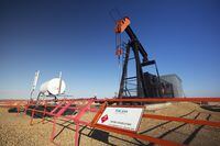 Pump jacks pump oil at an Encana well near Standard, Alberta, May 12, 2014.