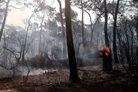 A burnt pine forest in Pyla sur Mer, near Arcachon, southwestern France, Tuesday, July 19, 2022. French investigators probing the suspected deliberate lighting of what has become a raging wildfire in the country’s southwest have detained a man for questioning, as firefighters and water-bombing planes continued fighting Tuesday against the ferocious flames. (AP Photo/Bob Edme)