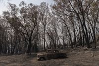 GLEN INNES, AUSTRALIA - NOVEMBER 11: The remains of a vintage car burnt in the Gulf Road Fire is seen in Torrington on November 11, 2019 in Torrington, Australia. Three people have died and 200 homes have been lost after bushfires burned through New South Wales and Queensland over the weekend. More than 850,000 hectares of land have been razed in NSW since the start of the bushfire season this year. More than 65 fires are still burning across the state today and there are catastrophic conditions predicted for Greater Sydney and the Greater Hunter areas on Tuesday. (Photo by Brook Mitchell/Getty Images) *** BESTPIX ***