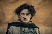 This image released by Warner Bros. Pictures shows Timothee Chalamet in a scene from "Dune: Part Two." (Niko Tavernise/Warner Bros. Pictures via AP)