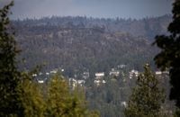 <div>Central Okanagan Emergency Operations has lifted the state of local emergency in West Kelowna, B.C., more than a month after the McDougall Creek wildfire devastated the area. Burned trees are seen above a neighbourhood in West Kelowna, B.C., Friday, Aug. 25, 2023. THE CANADIAN PRESS/Marissa Tiel</div>