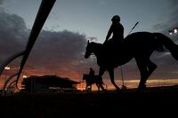 Toronto Ont.Woodbine Racetrack.Thoroughbred Am.Thoroughbred's begin to train before sunrise in preperation for opening day at Woodbine Racetrack without spectators on Saturday June 6th, 2020.Woodbine will feature the $1,000,000 Queen's Plate Stakes on Saturday September 12, 2020. michael burns photo