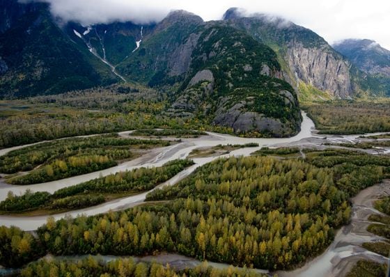First Nation declares large portion of British Columbia’s Taku River watershed a protected area 