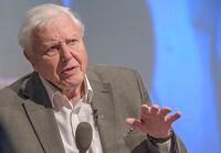 Sir David Attenborough addresses the U.K. Climate Assembly on Jan. 25, 2020 in Birmingham, England. The assembly members say that government steps to boost the economy should be designed to help achieve net-zero emissions by 2050.