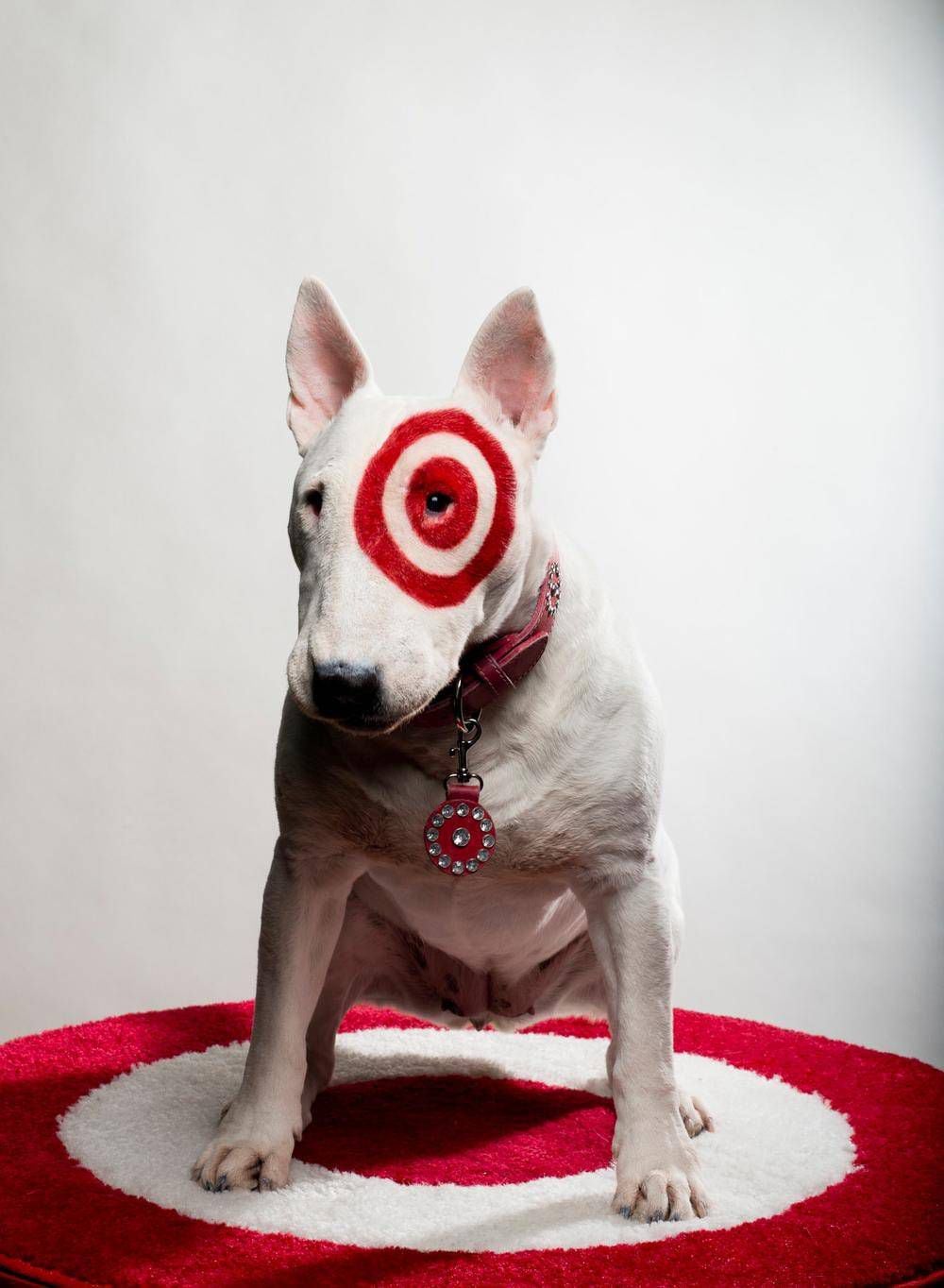 The secret life of Target's mascot, Bullseye - The Globe and Mail