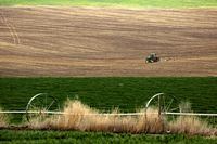 FILE PHOTO: A farmer drives a tractor through farmland as Franklin County commissioners vote to end recognition of Governor Jay Inslee?s "Stay Home, Stay Healthy" mandate and allow businesses to reopen, during the coronavirus disease (COVID-19) outbreak, in Franklin County near Pasco, Washington, U.S. April 22, 2020.  REUTERS/David Ryder/File Photo