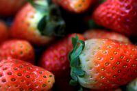 FILE PHOTO: Strawberries are seen in this illustration photo January 29, 2018.    Picture taken January 29, 2018.  REUTERS/Thomas White/Illustration/File Photo