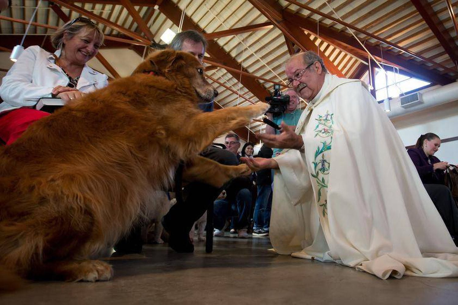 In Pictures: Pets get blessed on the feast day of St. Francis of Assisi -  The Globe and Mail