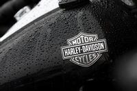 FILE PHOTO: The logo of Harley-Davidson is seen on a motorcycle at a dealership in Queens, New York City, U.S., February 7, 2022. REUTERS/Andrew Kelly/File Photo