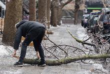 A man attempts to remove a fallen tree branch as it blocks a sidewalk following an accumulation of freezing rain in Montreal, Wednesday, April 5, 2023. A huge ice storm that knocked out power for hundreds of thousands of homes and businesses in Ontario and Quebec descended on the Maritimes overnight, knocking out power in some areas and forcing school closures and delays across the region. THE CANADIAN PRESS/Graham Hughes