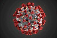 FILE PHOTO: The ultrastructural morphology exhibited by the 2019 Novel Coronavirus (2019-nCoV), which was identified as the cause of an outbreak of respiratory illness first detected in Wuhan, China, is seen in an illustration released by the Centers for Disease Control and Prevention (CDC) in Atlanta, Georgia, U.S. January 29, 2020. Alissa Eckert, MS; Dan Higgins, MAM/CDC/Handout via REUTERS.  THIS IMAGE HAS BEEN SUPPLIED BY A THIRD PARTY. THIS IMAGE WAS PROCESSED BY REUTERS TO ENHANCE QUALITY, AN UNPROCESSED VERSION HAS BEEN PROVIDED SEPARATELY.MANDATORY CREDIT/File Photo
