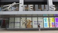 The Telus sign outside the company’s offices in downtown Toronto, is photographed on July 27, 2021. Fred Lum/The Globe and Mail.  