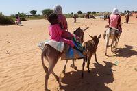 Children cross the border on their donkeys from Sudan to Chad, in Chad, November 7, 2023. REUTERS/El Tayeb Siddig