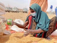 FILE PHOTO: A woman collects grain at a camp for the Internally Displaced People in Adadle district in the Somali region, Ethiopia, January 22, 2022. Claire Nevill/World Food Programme/Handout via REUTERS THIS IMAGE HAS BEEN SUPPLIED BY A THIRD PARTY. MANDATORY CREDIT./File Photo