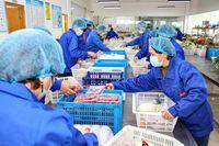 This photo taken on April 17, 2022 shows staff members packaging food - distributed by the local government - to give to residents under restrictions at home due to the spread of the Covid-19 coronavirus in Nantong in China's eastern Jiangsu province. (Photo by AFP) / China OUT (Photo by STR/AFP via Getty Images)