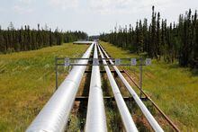 Oil, steam and natural gas pipelines run through the forest at the Cenovus Foster Creek SAGD oil sands operations near Cold Lake, Alberta, July 9, 2012.
