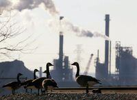 A group of Canada geese stand on railway tracks as a plant operates in the background at Hamilton Harbour in Hamilton, Ont. Tuesday December 10, 2002. THE CANADIAN PRESS/Kevin Frayer