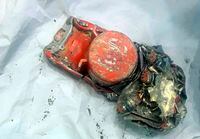 This photo provided by the French air accident investigation authority BEA shows one of the black box flight recorders from the crashed Ethiopian Airlines jet. (File Photo)