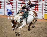 Zeke Thurston, of Big Valley, Alta., rides Lunatic Party during saddle bronc rodeo semi-final action at the Calgary Stampede in Calgary, Sunday, July 14, 2019. THE CANADIAN PRESS/Jeff McIntosh