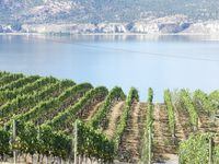 Written with Okanagan-based wine educator Luke Whittall, The Okanagan Wine Tour Guide shares noteworthy stories about the people and places that shape the provinceÕs wine industry.