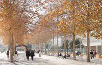 Strolling Lisbon’s Parque das Nações, near the Tagus River, is pleasant during the fall and winter seasons, when the temperatures are cool, rarely dropping below 15 C.