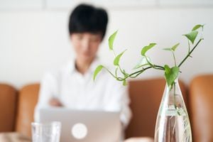 Plant in jar with woman on laptop in the background