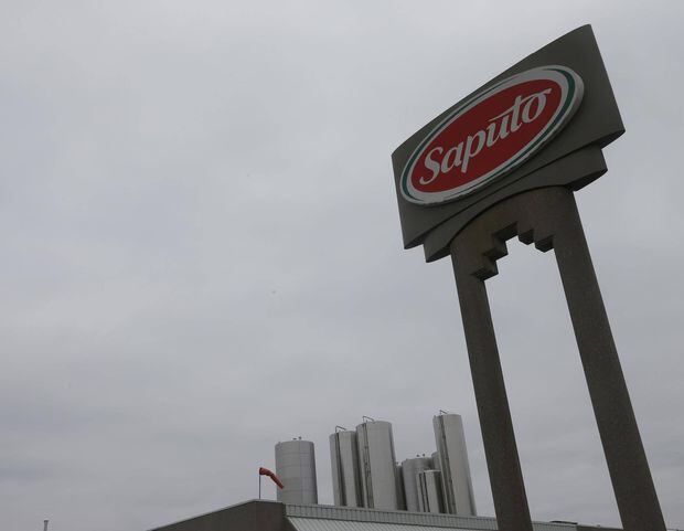 saputo a case study in investor unfriendly disclosure the globe and mail advertising expense on income statement georgia pacific financial statements