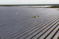 Solar panels at a solar farm operated by Florida Power & Light in Babcock Ranch, Florida, on Dec. 5.