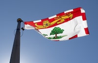A village councillor in P.E.I. is seeking a court order to quash sanctions imposed on him after he displayed a sign on his property denying the existence of unmarked graves at former residential schools. Prince Edward Island's provincial flag flies on a flagpole in Ottawa, Monday, July 6, 2020. THE CANADIAN PRESS/Adrian Wyld