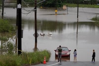 People stand at the edge of floodwater as vehicles are seen abandoned in water following a major rain event in Halifax on Saturday, July 22, 2023. In the wake of last summer's deadly floods, heat waves and record-breaking wildfires, some scientists are urging health professionals to take an active role in helping their patients better prepare for ongoing natural disasters.THE CANADIAN PRESS/Darren Calabrese