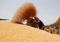 A worker sifts wheat before filling in sacks at the market yard of the Agriculture Product Marketing Committee (APMC) on the outskirts of Ahmedabad, India, May 16, 2022. REUTERS/Amit Dave/File Photo