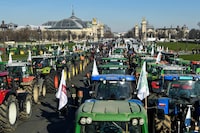 Farmers stands next to tractors at the Esplanades des Invalides during a demonstration organised by unions including FNSEA (National Federation of Farmers Union), against "obligations" in agriculture, in particular restrictions on the use of pesticides, in Paris, on February 8, 2023. (Photo by Bertrand GUAY / AFP) (Photo by BERTRAND GUAY/AFP via Getty Images)