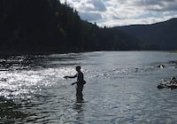 The United States and Canada have agreed to launch a probe into a long-running cross-border dispute involving pollution from coal mines in British Columbia flowing into American waters. A fly fisherman casts on the Kootenay River, downstream from Lake Kookanusa, a reservoir that crosses the border between the U.S. and Canada, on Sept. 19, 2014.THE CANADIAN PRESS/AP-The Spokesman Review, Rich Landers