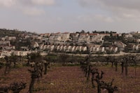 This photograph shows the Israeli settlement of Efrata built on the land of the Palestinian town of Al-Khader in the Bethlehem governorate in the occupied West Bank on March 6, 2024. The Israeli government has pushed forward construction plans for 3,500 settler homes in the occupied West Bank, a hardline minister said on March 6, 2024. The move comes after Finance Minister Bezalel Smotrich last month vowed to expand settlements, in response to Palestinian gunmen killing an Israeli civilian and wounding several others in the West Bank. (Photo by HAZEM BADER / AFP) (Photo by HAZEM BADER/AFP via Getty Images)