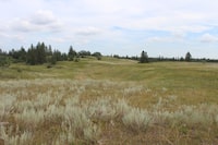 Grasslands are shown in a Nature Conservancy of Canada handout photo. The Nature Conservancy of Canada has announced a plan to protect Prairie grasslands, considered one of the most endangered and least protected ecosystems in the country. THE CANADIAN PRESS/HO-Nature Conservancy of Canada **MANDATORY CREDIT** 
