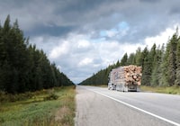 (FILES) A lumber truck in Seneterre, Quebec, Canada, on September 8, 2021. Ottawa announced on August 22, 2023, it will challenge the latest US duties on Canadian softwood lumber that it called "unfair, unjust and illegal." At the same time, Canada offered to try to negotiate terms with the US to bring an end to the longstanding trade dispute that has often flared up over the past 40 years. (Photo by Andrej Ivanov / AFP) (Photo by ANDREJ IVANOV/AFP via Getty Images)