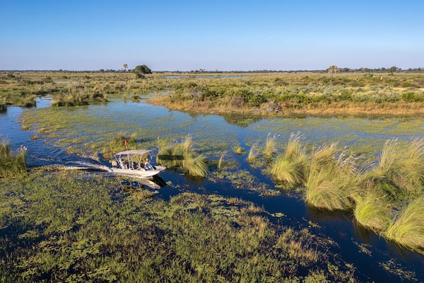 Wondering about a safari in Botswana? Seismic activity is helping to ...