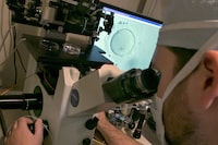 FILE - An embryologist uses a microscope to view an embryo, visible on a monitor, right, on Oct. 3, 2013, in New York. The Alabama Supreme Court ruled, Friday, Feb. 16, 2024, that frozen embryos can be considered children under state law, a ruling critics said could have sweeping implications for fertility treatments. The decision was issued in a pair of wrongful death cases brought by three couples who had frozen embryos destroyed in an accident at a fertility clinic. (AP Photo/Richard Drew, File)