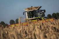 KYIV OBLAST, UKRAINE - AUGUST 4: Farmers use combine harvesters to harvest a wheat field near the city of Bila Tserkva on August 4, 2023 in Kyiv Oblast, Ukraine. A forecast by the Ukrainian agriculture ministry showed that the 2023 grain harvest is likely to fall to 44.3 million tonnes from 53.1 million in 2022, due to the ongoing war with Russia. (Photo by Ed Ram/Getty Images)