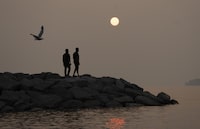 FILE - A gull flies past two men as they watch the setting sun as smoke from wildfires fills the sky over the Ottawa River, June 29, 2023, in Ottawa, Ontario. As smoky as the summer has been so far, scientists say it will likely be worse in future years because of climate change. (Adrian Wyld/The Canadian Press via AP, File)