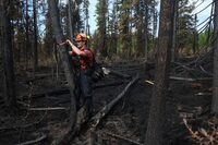 A firefighter with the BC Wildfire Service patrols an area of fire line, checking for and flagging dangerous trees, as wildfire outside Vanderhoof continues, British Columbia, Canada July 17, 2023. REUTERS/Jesse Winter
