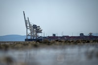 Gantry cranes used to load and unload cargo containers from ships sit idle at Global Container Terminals at Deltaport, in Delta, B.C., Friday, July 7, 2023. THE CANADIAN PRESS/Darryl Dyck