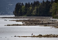 A man and a dog walk along rocks at English Bay in Vancouver, on Sunday, April 26, 2020. Another barge went adrift in Vancouver's English Bay, prompting a quick response from the Canadian Coast Guard. THE CANADIAN PRESS/Darryl Dyck