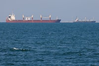 DJIBOUTI, DJIBOUTI - JANUARY 17: The bulk carrier, Lila II seen at sea on January 17, 2024 in Djibouti, Djibouti. Attacks on commercial ships by Yemen's Houthi rebel group, who say they are acting in protest of Israel's war in Gaza, have imperilled a vital global shipping route through the Bab-el-Mandeb strait that lies between Yemen and Djibouti and connects the Gulf of Aden and Red Sea. The disruption has forced more shipping companies to divert around the Horn of Africa, upending supply chains and increasing costs. (Photo by Luke Dray/Getty Images)